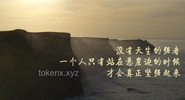 虽人穷但志不穷：萤火突击的东山再起之路